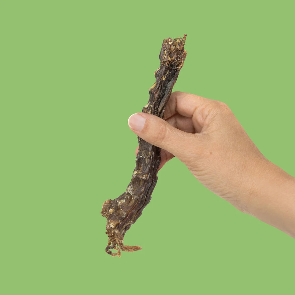 Duck Neck Dog Treats