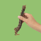 Duck Neck Dog Treats
