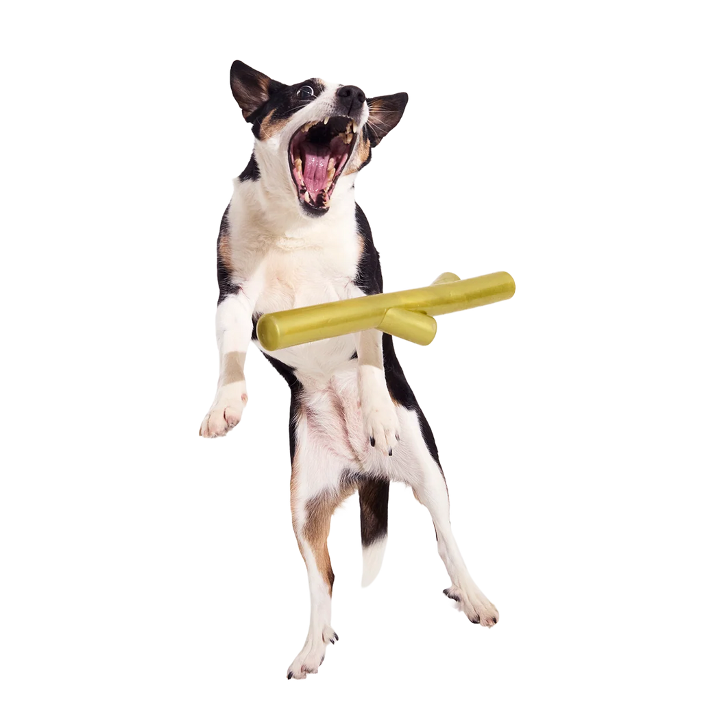 Durable Extra Large Rubber Dog Fetch Toy for Active Play, Floating Water Games and Tug Sessions, Vanilla Scented