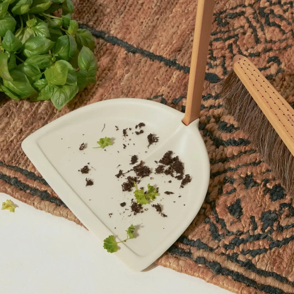 Dustpan and Brush Set