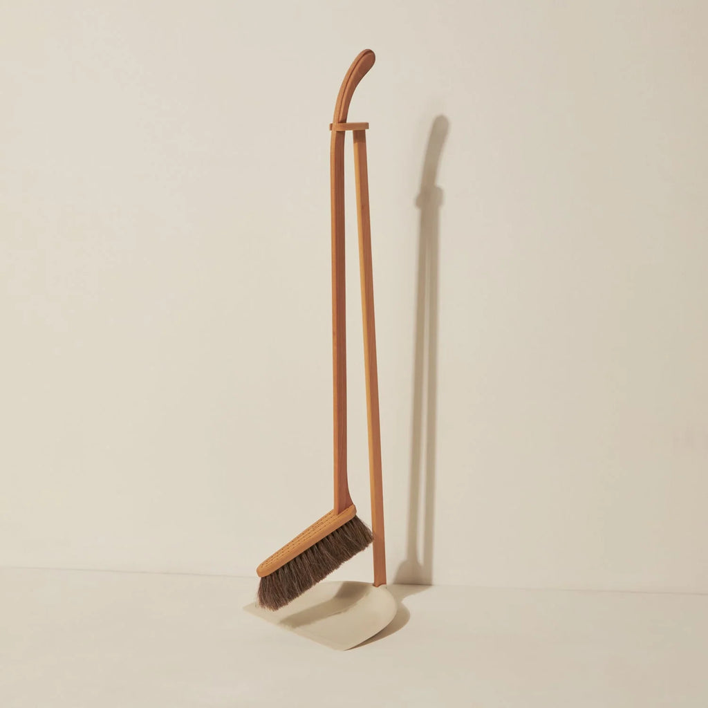 Dustpan and Brush Set