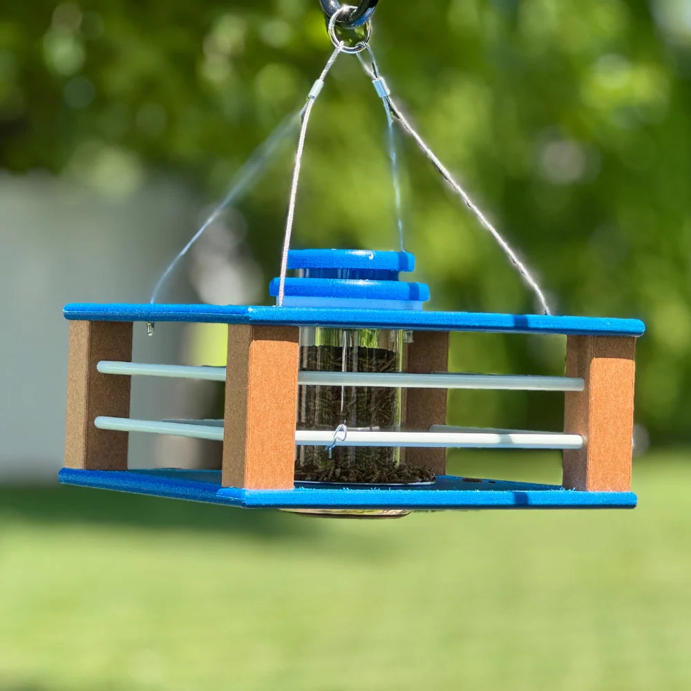 Eastern Bluebird Mealworm Feeder with a Clear Tube and 3.75–4 Cup Capacity for Backyard Feeding