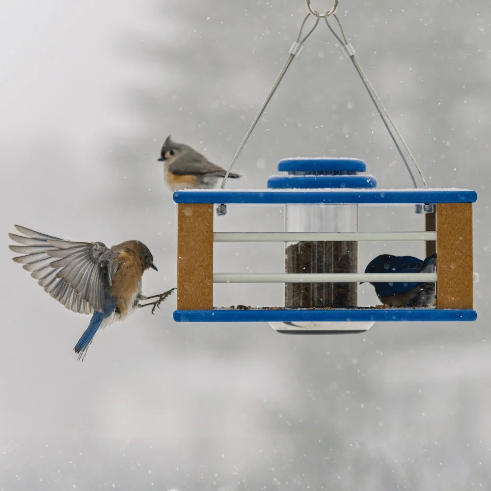 Eastern Bluebird Mealworm Feeder with a Clear Tube and 3.75–4 Cup Capacity for Backyard Feeding