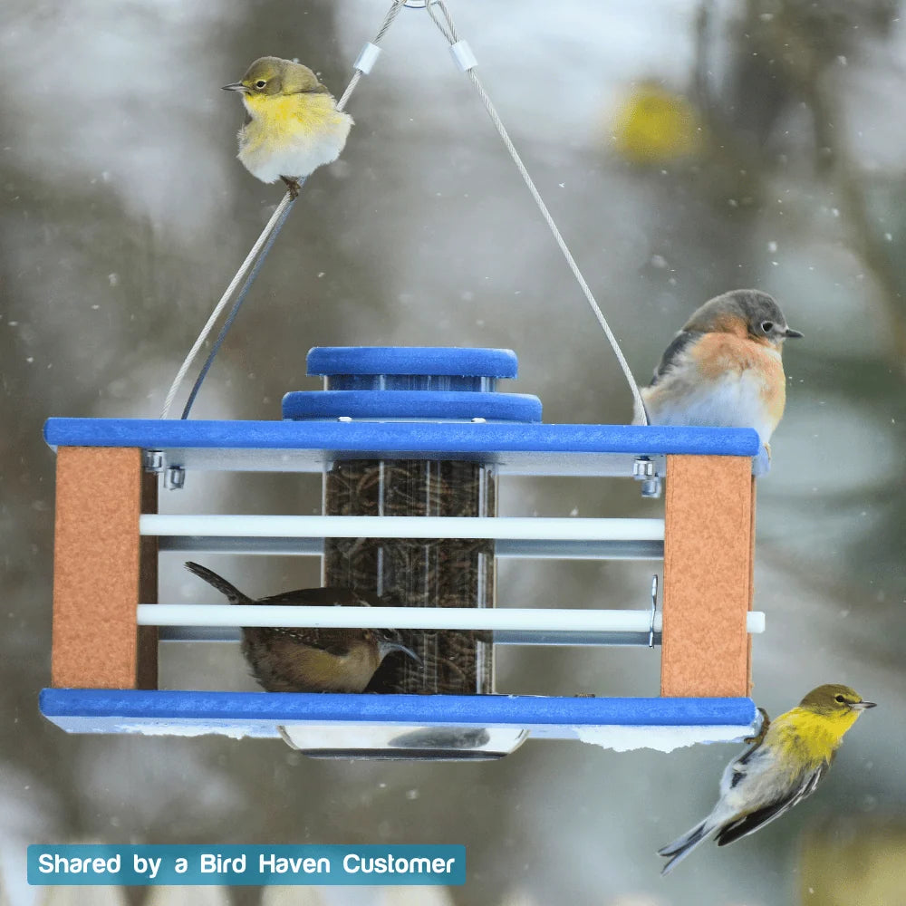 Eastern Bluebird Mealworm Feeder with a Clear Tube and 3.75–4 Cup Capacity for Backyard Feeding