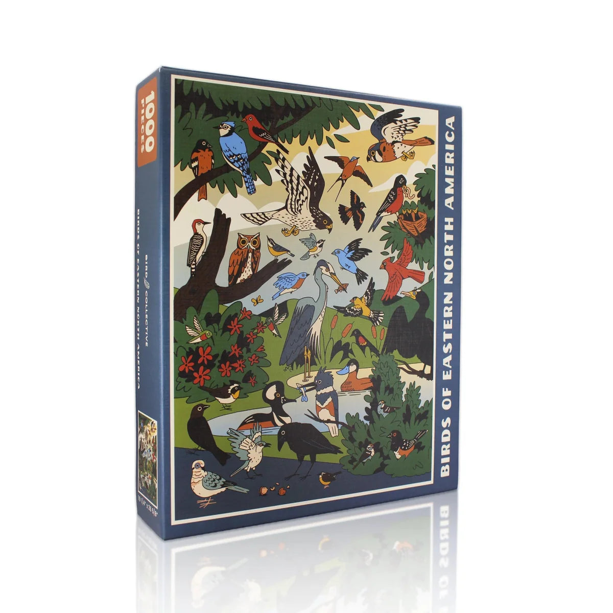 Eastern North America Bird Jigsaw Puzzle, 1000 Pieces Featuring Over 30 Species and an Identification Key