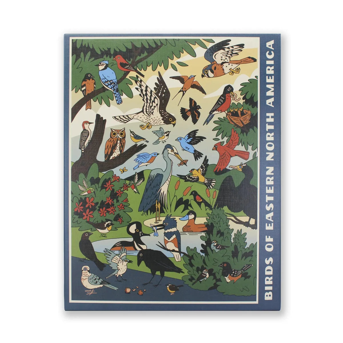 Eastern North America Bird Jigsaw Puzzle, 1000 Pieces Featuring Over 30 Species and an Identification Key
