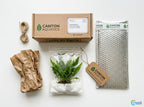 Easy-Care Java Fern Live Freshwater Aquarium Plant