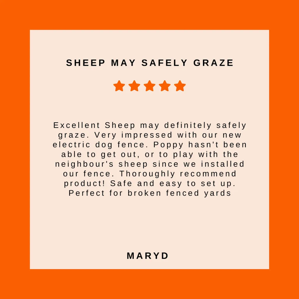 Electric Dog Fence System