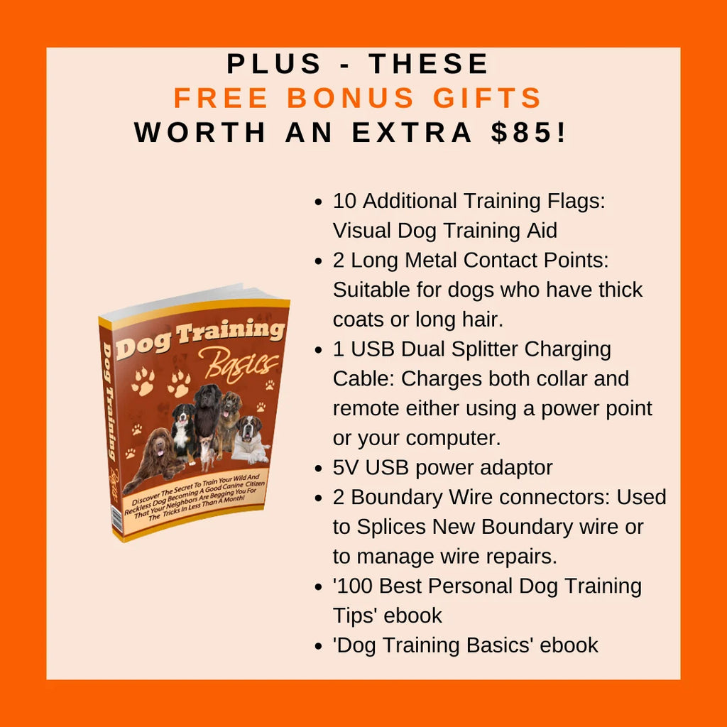 Electric Dog Fence System