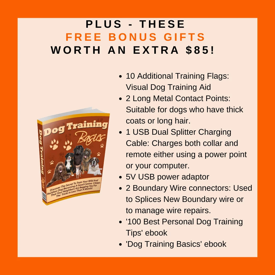 Electric Dog Fence System