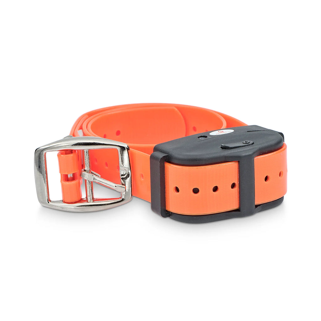Electric Dog Fence System