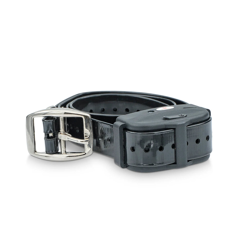 Electric Dog Fence System