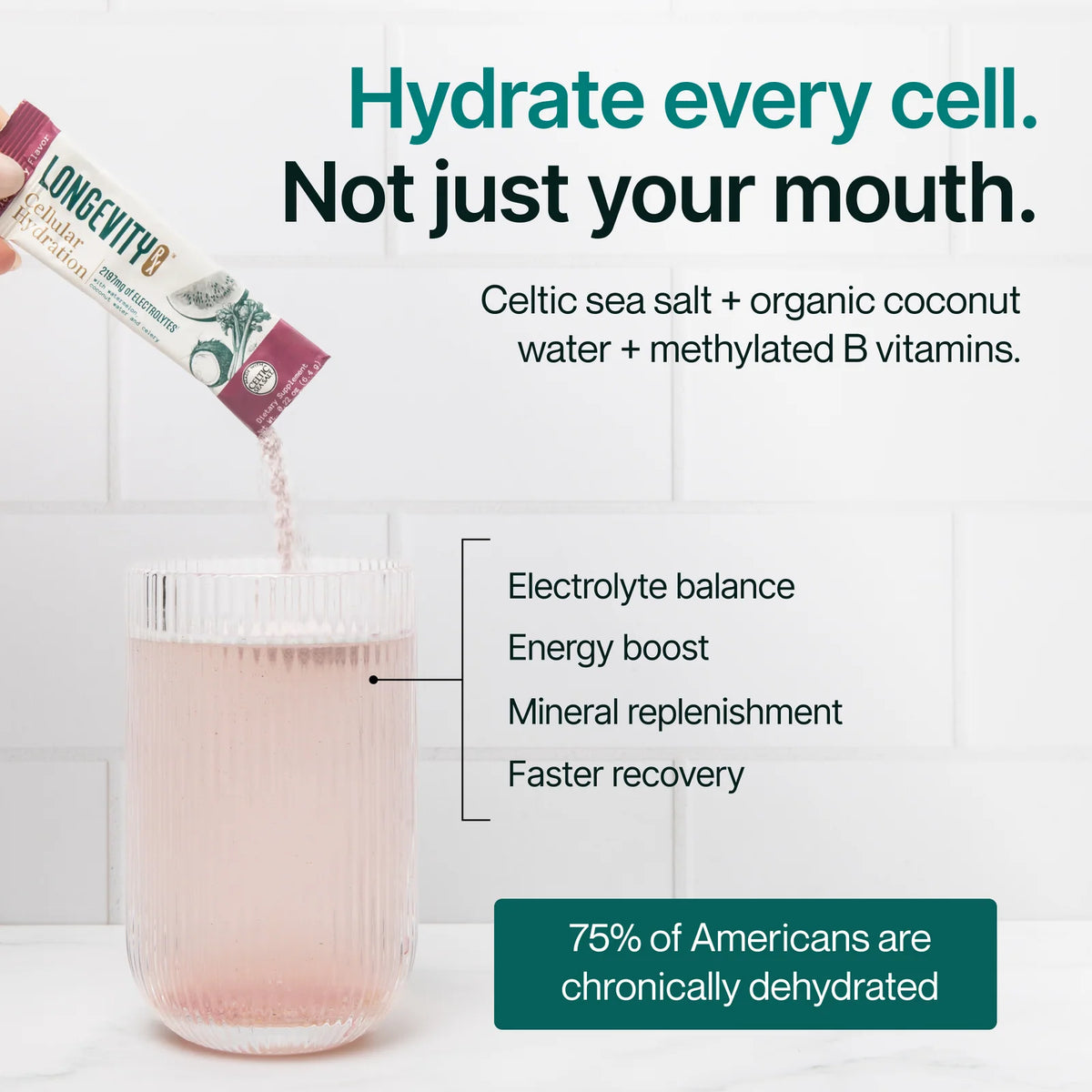 Electrolyte Hydration Powder Stick Packs in Tangy Wild Berry