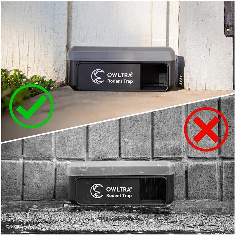 Electronic Rodent Trap