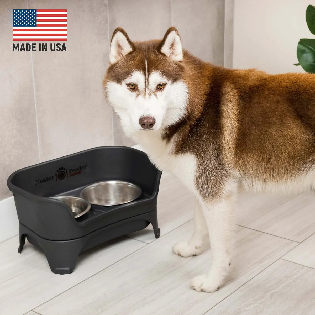 Elevated Dog Feeding Station