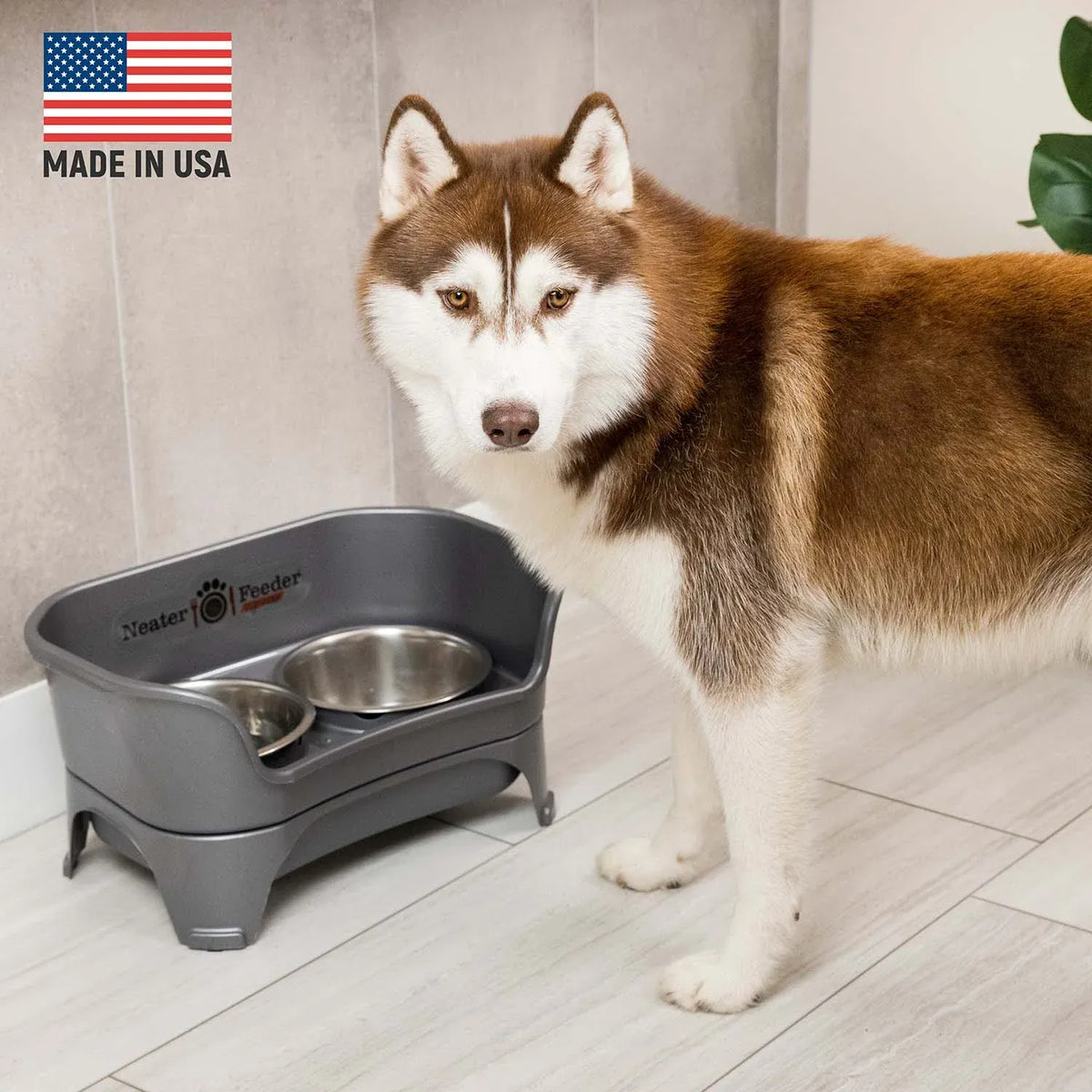 Elevated Dog Feeding Station