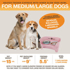 Elevated Dog Feeding Station