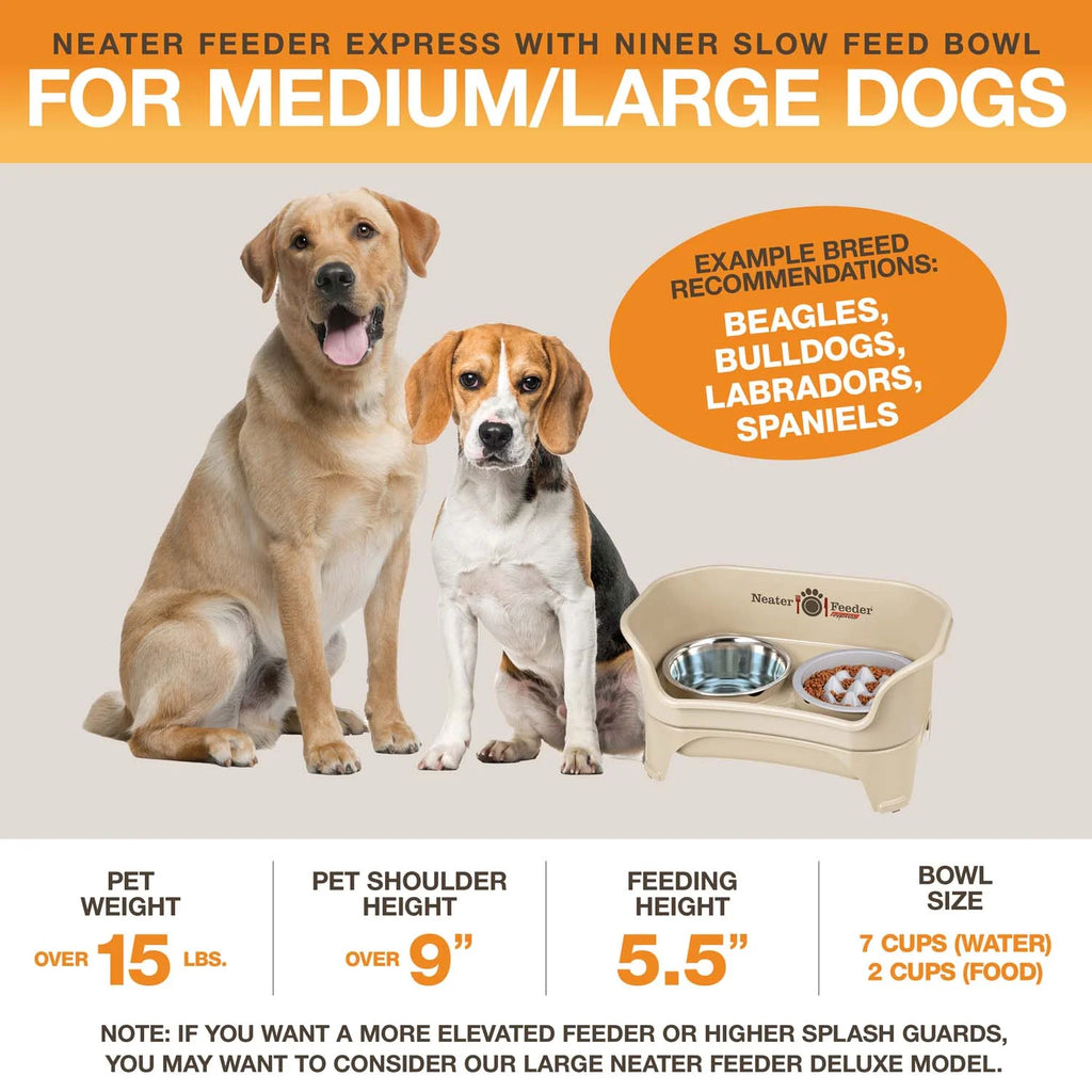 Elevated Dog Feeding Station