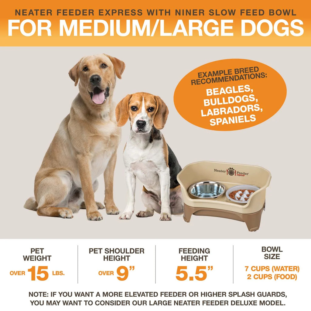 Elevated Dog Feeding Station