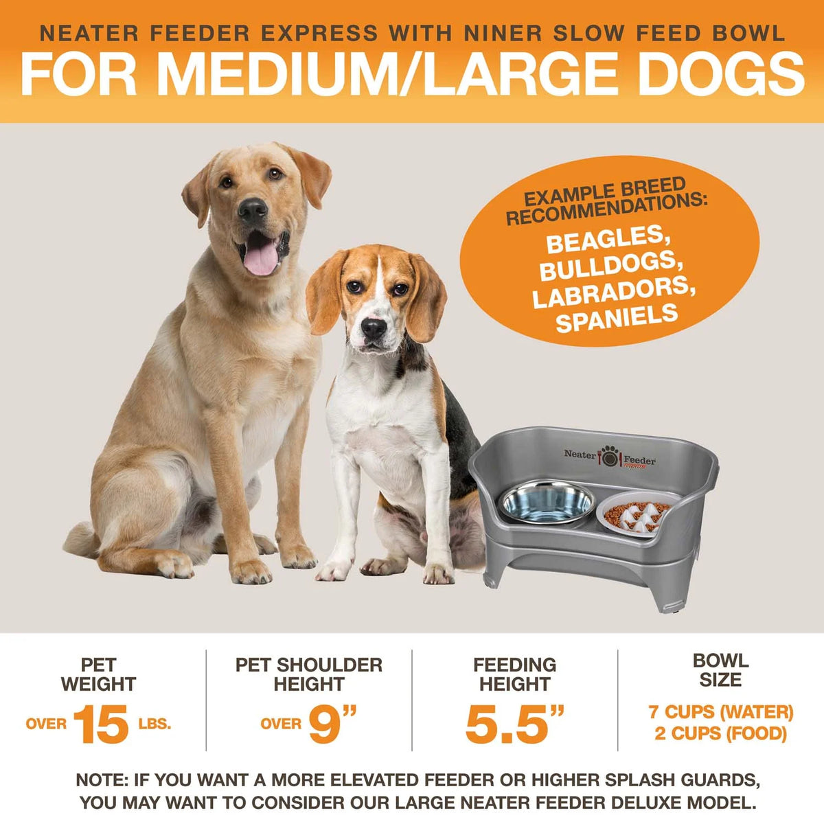 Elevated Dog Feeding Station