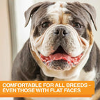 Elevated Slow Feeder Dog Bowl Set with Nine-Peak Insert, Splash Guards and Optional Leg Extensions