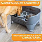 Elevated Slow Feeder Dog Bowl Set with Nine-Peak Insert, Splash Guards and Optional Leg Extensions