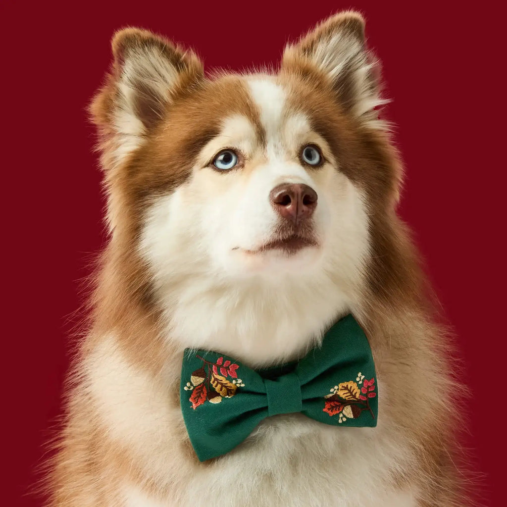 Embroidered Dog Bow Tie for Standard-Width Collars, Two Secure Elastic Loops, Small or Large Fall Foliage Style