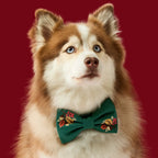 Embroidered Dog Bow Tie for Standard-Width Collars, Two Secure Elastic Loops, Small or Large Fall Foliage Style