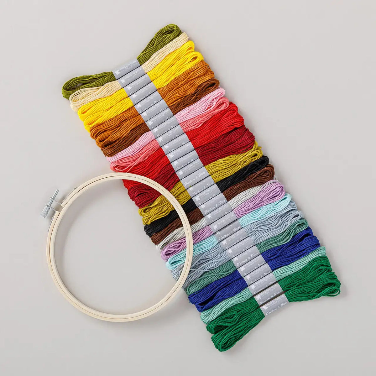 Embroidery Kit with Chicken and Egg Templates, 28 Floss Skeins, Hoop, Tools and Project Keeper