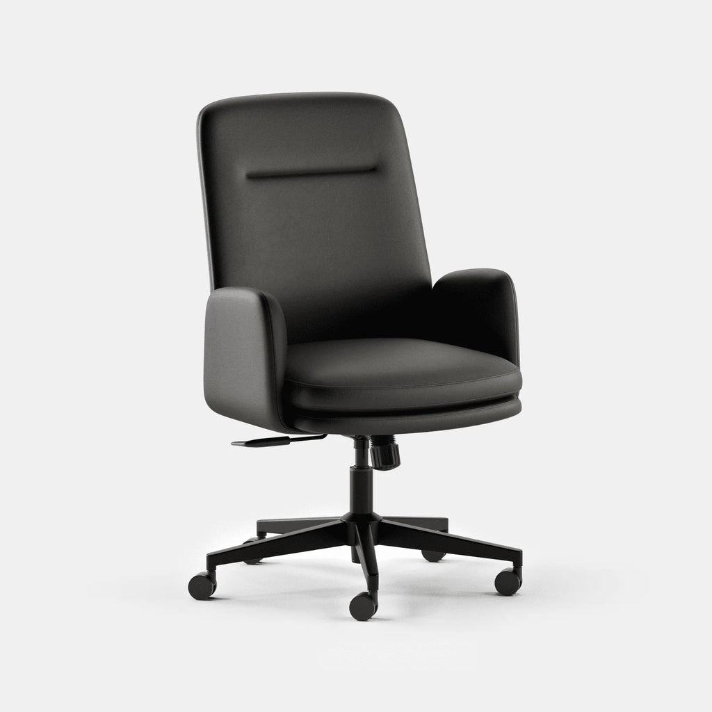 Ergonomic Office Chair with Lumbar Support, Plush Hybrid Cushion, Adjustable Tilt and Mid or High Back