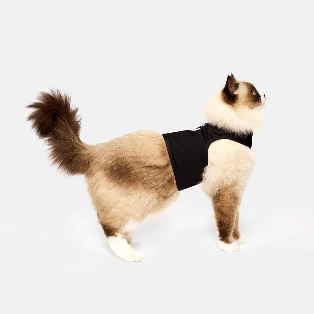 Escape-Proof Cat Harness in Black with Six Size for Secure, Comfortable Outdoor Walks · Escape-proof cat harness design