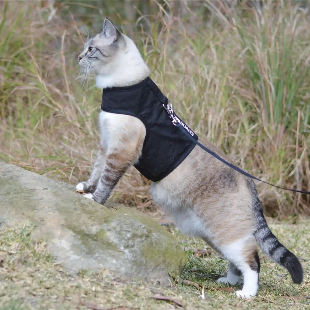 Escape-Proof Cat Harness in Black with Six Size for Secure, Comfortable Outdoor Walks · Escape-proof cat harness design