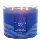Eucalyptus Scented 3-Wick Candle with Soy Wax Blend, 14.5 oz Jar and Up to 45-Hour Burn Time