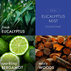Eucalyptus Scented 3-Wick Candle with Soy Wax Blend, 14.5 oz Jar and Up to 45-Hour Burn Time