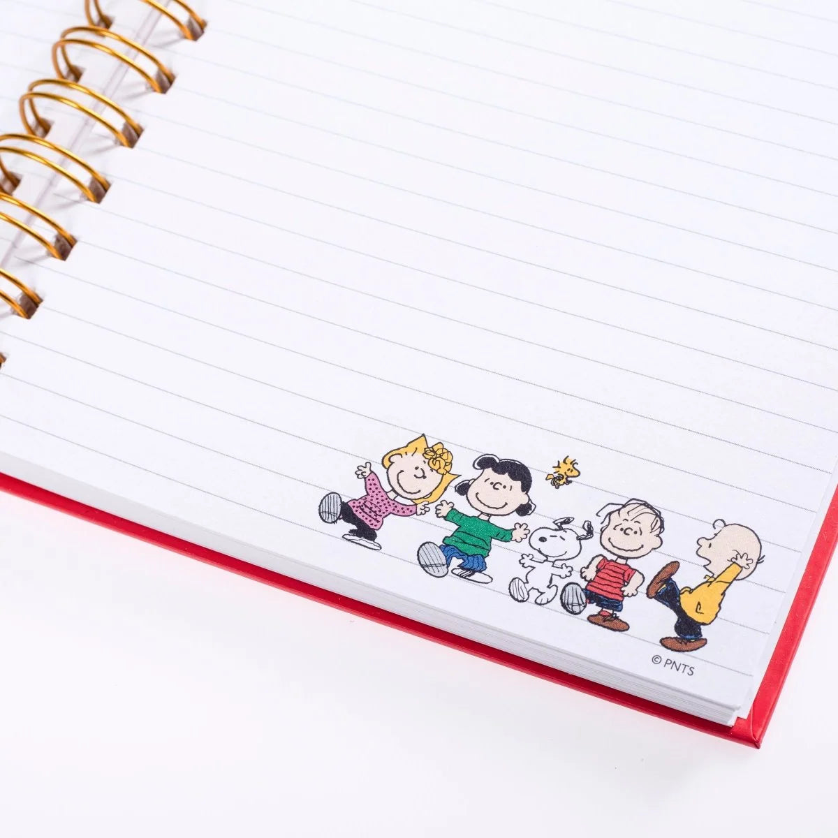 Everyday Spiral Journal