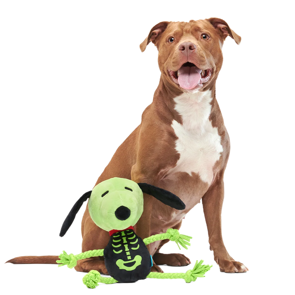 Extra Large Plush Dog Toy with Pull-Through T-Shirt Rope and Squeaker for Halloween Tug and Fetch Play