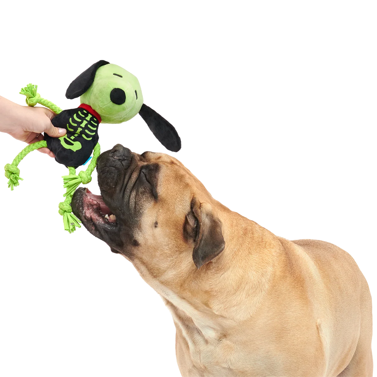Extra Large Plush Dog Toy with Pull-Through T-Shirt Rope and Squeaker for Halloween Tug and Fetch Play