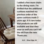 Extra-Thick Cotton Duck Chair Pad in Natural Neutral Fabric