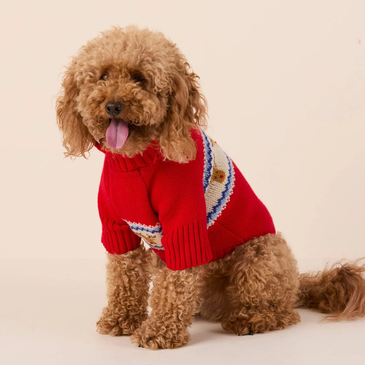 Fair Isle Dog Sweater with Soft Knit Turtleneck, Leash Opening and Machine-Washable Cold-Weather Fit