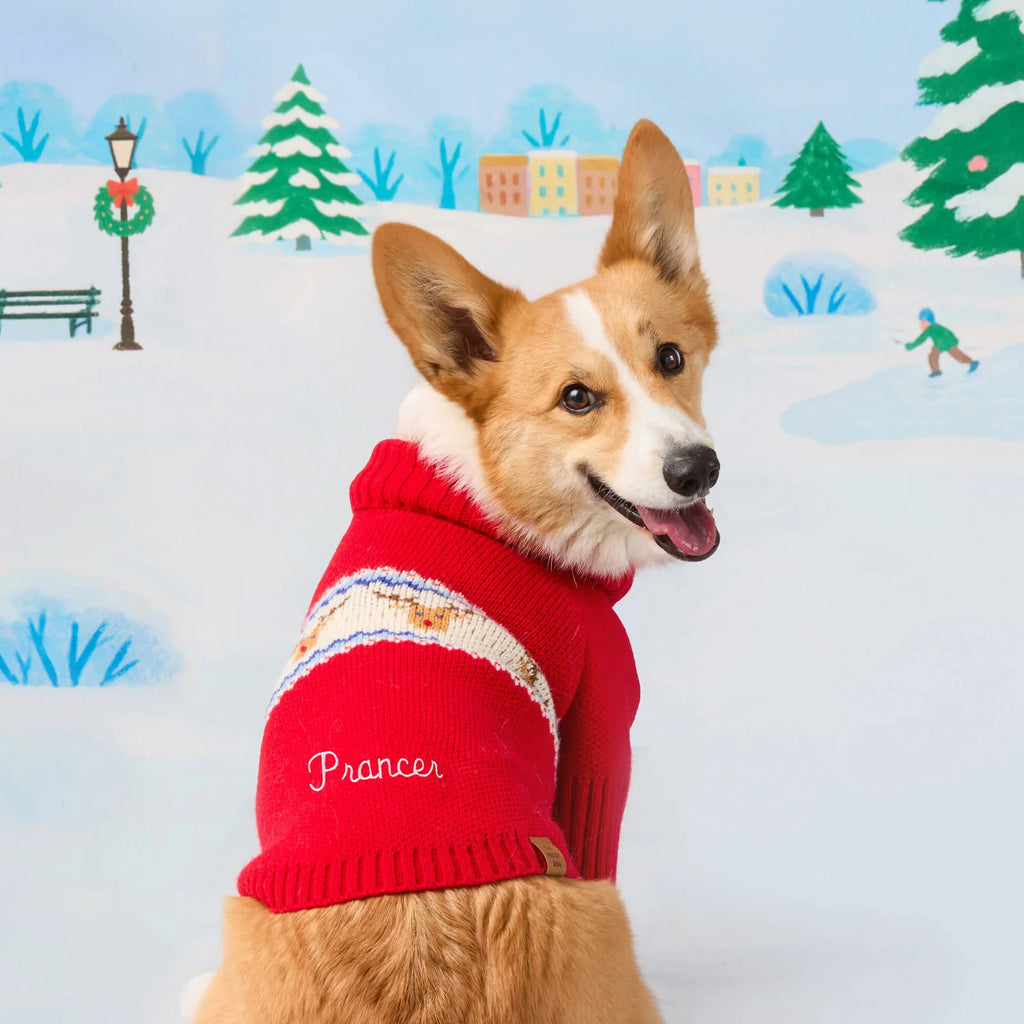 Fair Isle Dog Sweater with Soft Knit Turtleneck, Leash Opening and Machine-Washable Cold-Weather Fit
