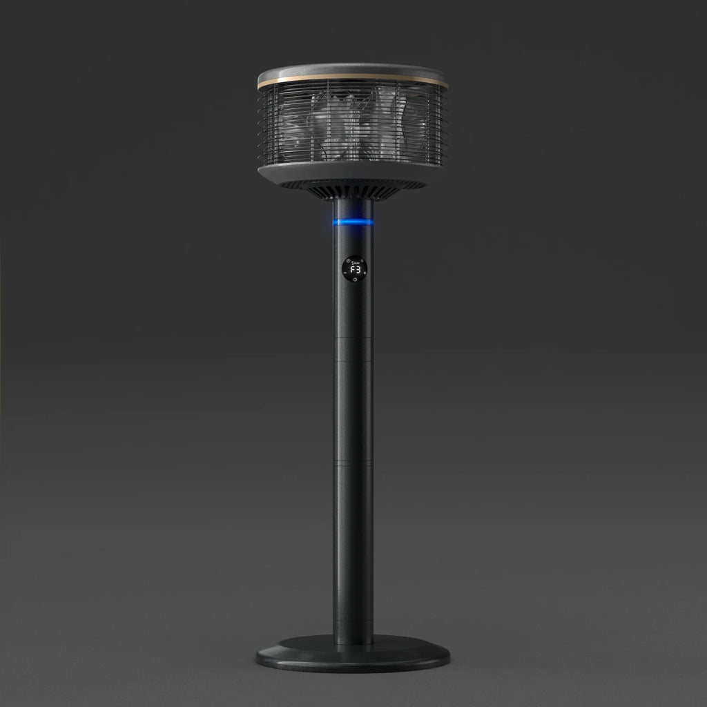 Fan