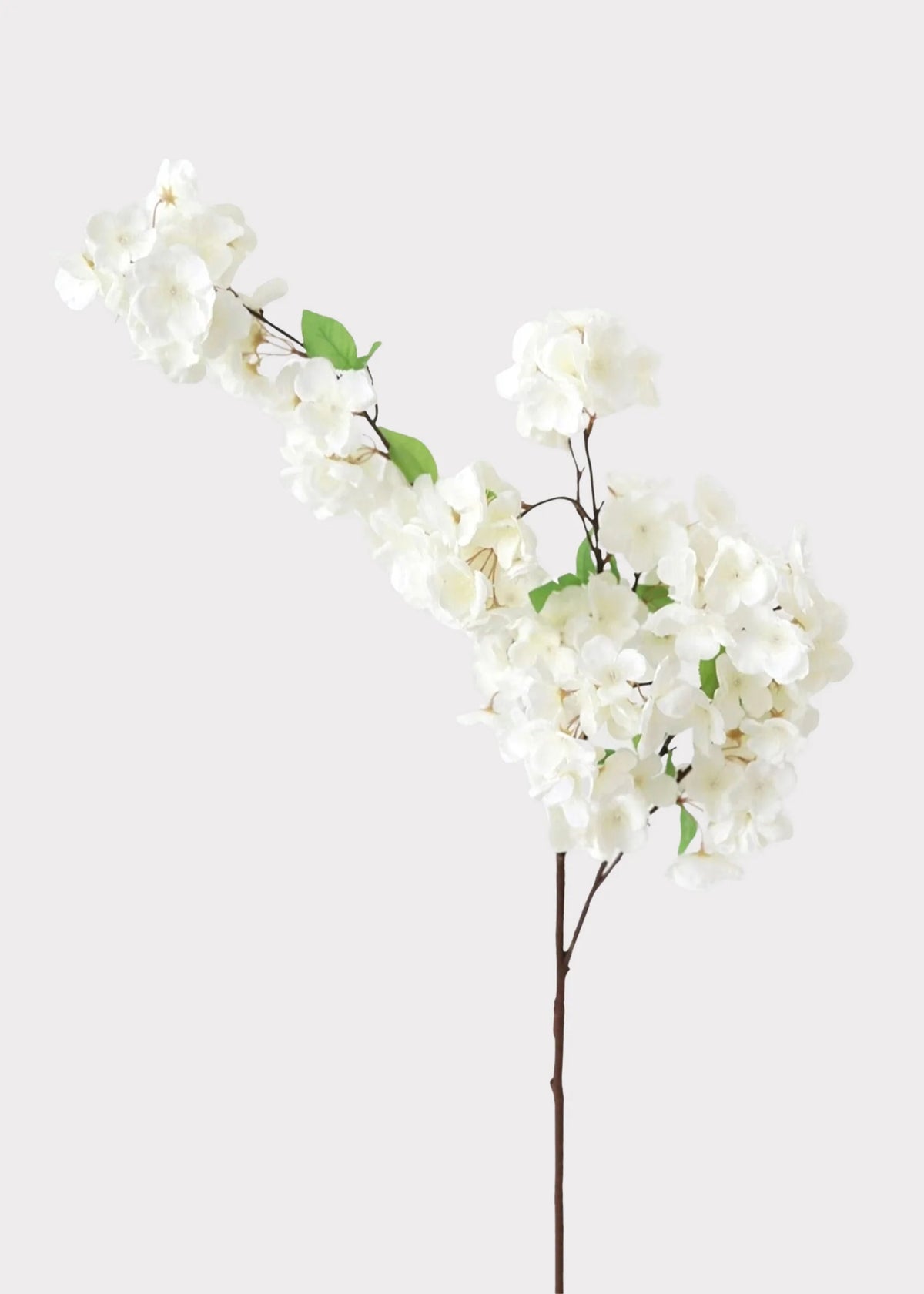Faux Cherry Blossom Stem in Cream White, 44 Inches Tall