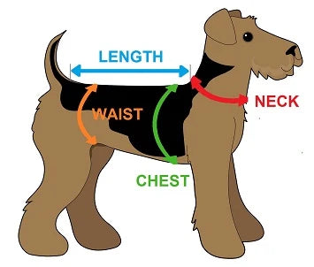 Male Dog Diapers