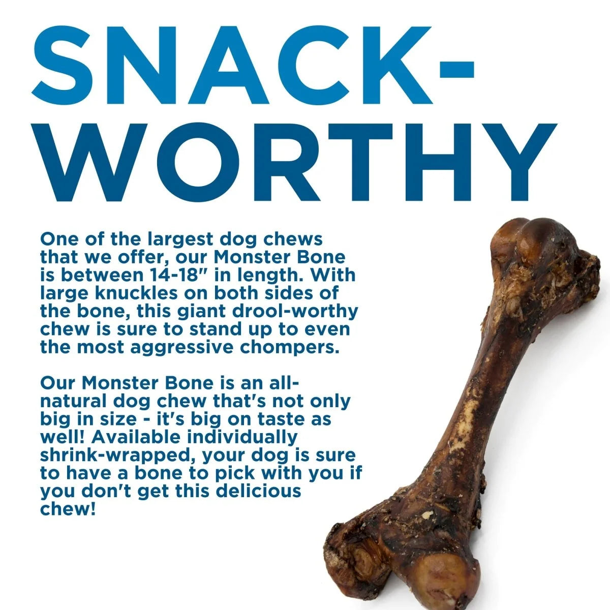 Femur Bone Dog Chew