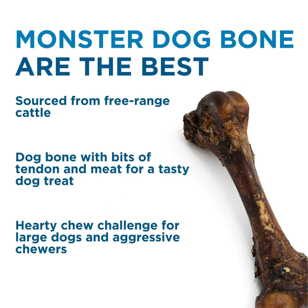 Femur Bone Dog Chew