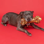 Femur Bone Dog Chew