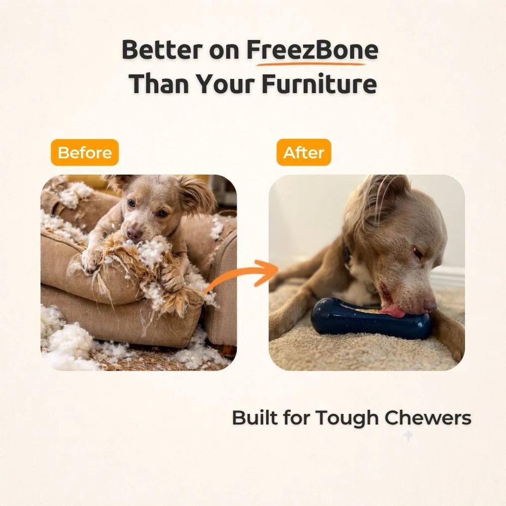 Fillable Dog Chew Toy in Natural Rubber