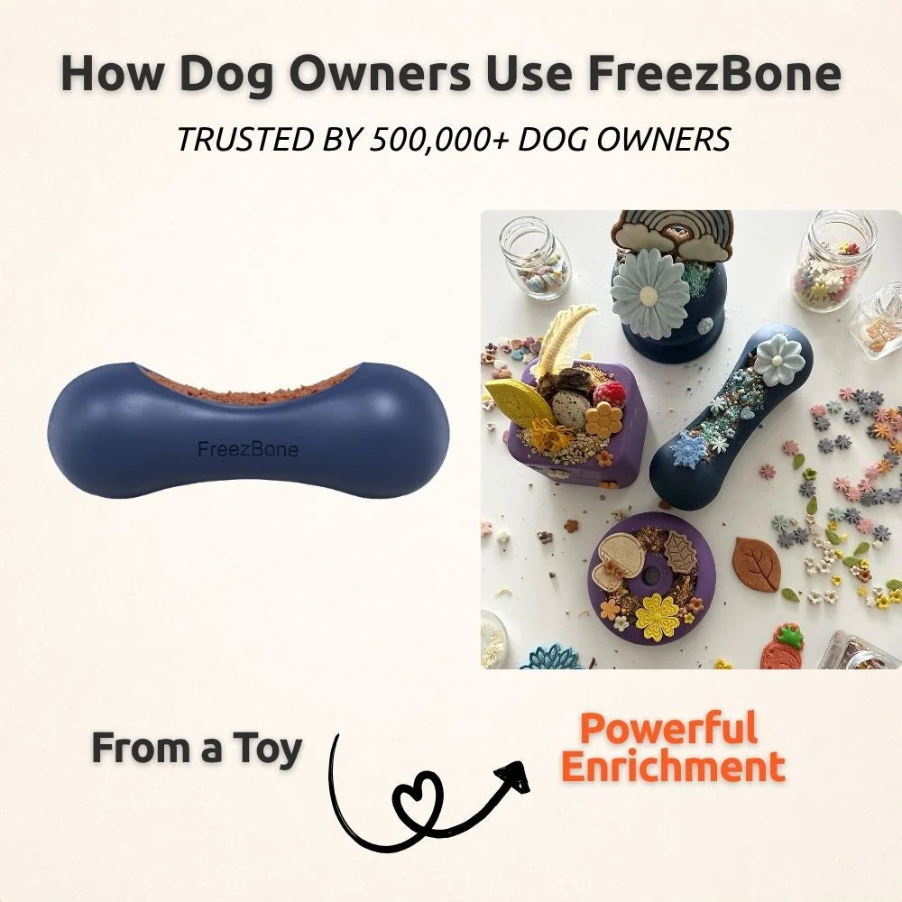 Fillable Dog Chew Toy in Natural Rubber