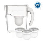 Filtered Water Pitcher and Filter 3-Pack Bundle, 80 oz Capacity in BPA- and BPS-Free Medical-Grade Tritan
