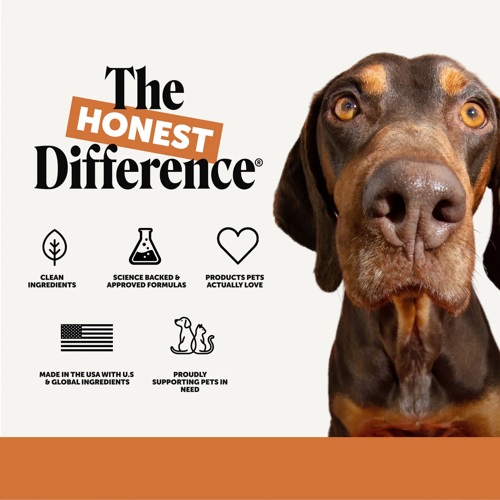 Flea and Tick Support Soft Chews